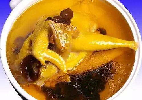 娱乐吃瓜酱鸡汤视频大全,鸡汤视频大全,暖心治愈你的日常