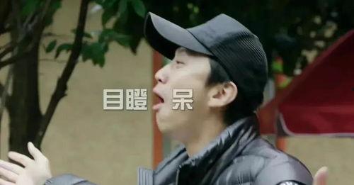 娱乐圈小说吃瓜爆料爽文超长,吃瓜爆料,爽文超长,揭秘明星背后的秘密风云